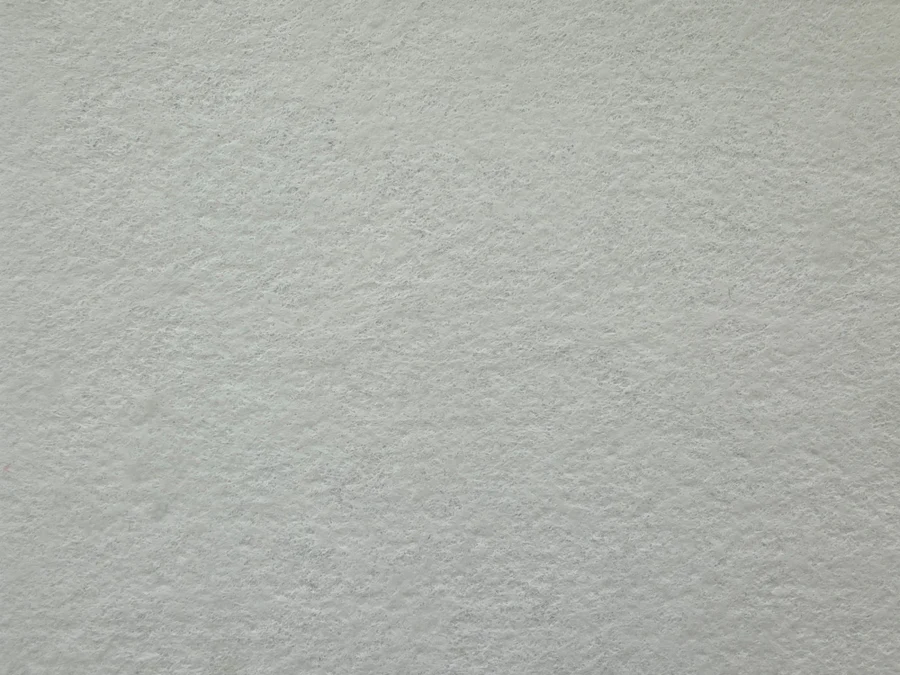 bc181308-aa0d-4492-b265-7de0e03ede8d-20261013_170922.jpg